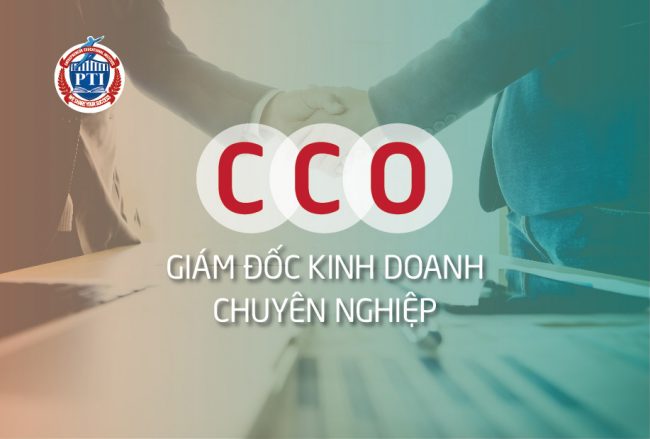 CCO giám đốc kinh doanh